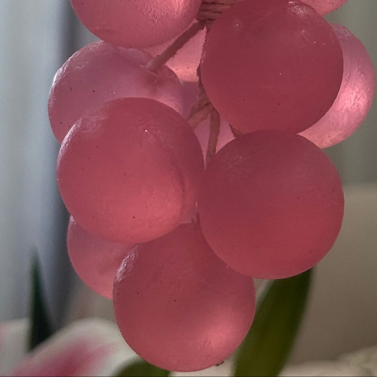 Pink Grape Hanging